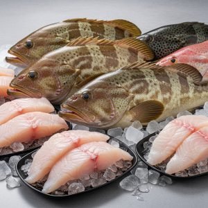 Grouper and Fillet