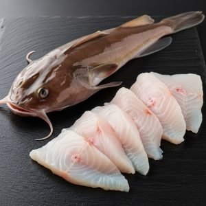 Monkfish (Lophius piscatorius) 