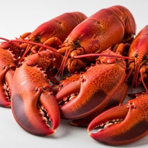 North Atlantic Lobster Claws