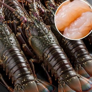 Caribbean Lobster - Frozen, Raw tails