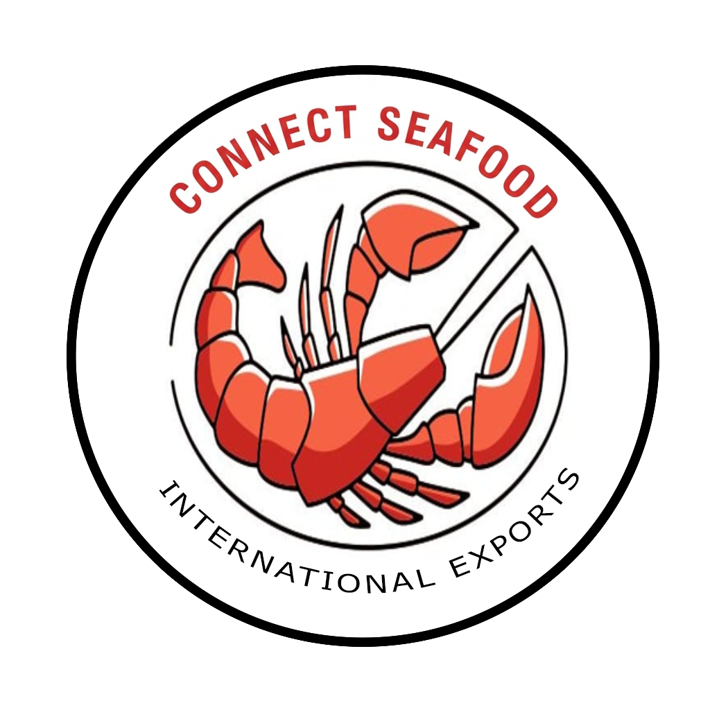 connectseafood.com connectseafood.com