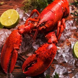Maine Lobsters