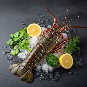 Spiny Lobster