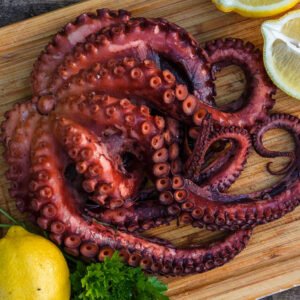 Octopus Seafood